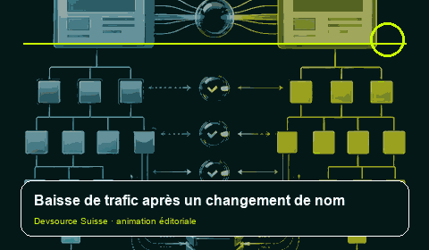Animation consacrée à « Baisse SEO après changement de domaine : contrôler le transfert… »