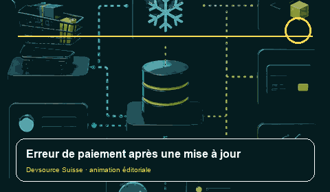 Animation consacrée à « Paiement cassé après mise à jour WooCommerce : reconstruire la… »