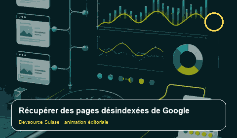 Animation consacrée à « Pages désindexées : retrouver la décision prise pour chaque URL »
