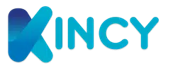 Logo Kincy, client Devsource
